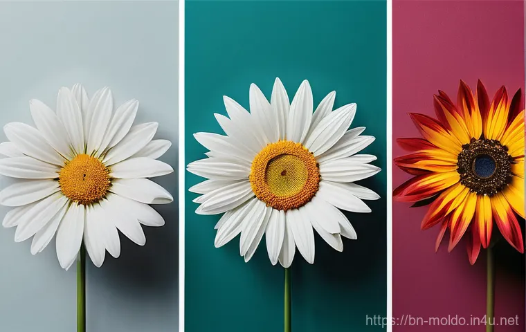 몰도바와 한류 - Here are three detailed image prompts in English, designed to be 15+ appropriate and avoid any expli...