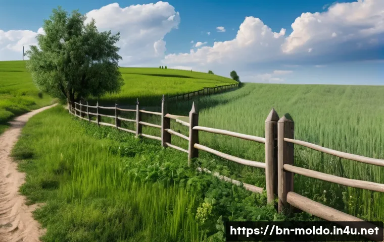 몰도바 테러 사건 관련 이미지 2