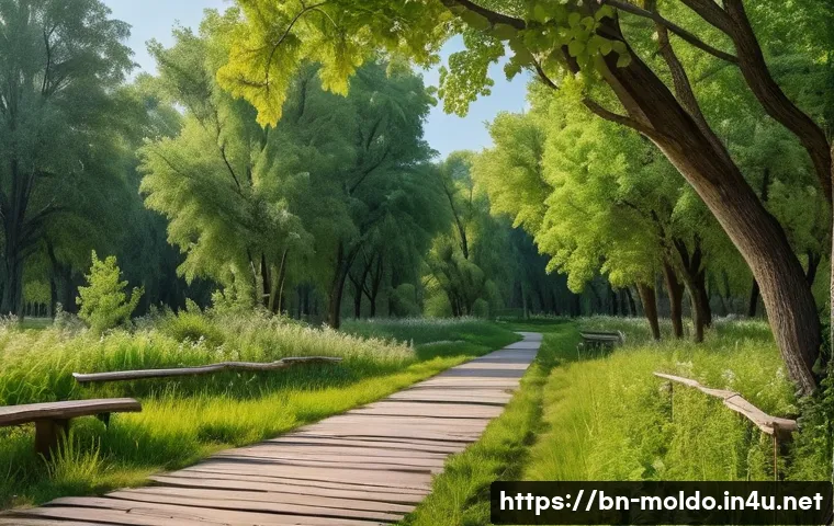 몰도바 올드오르헤이 유적지 관련 이미지 2