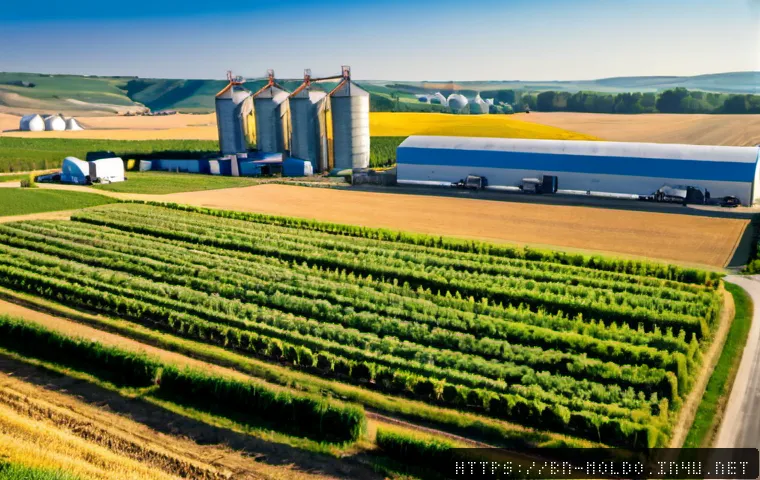 Home 17 몰도바 산업 구조 - Photorealistic wide-angle view of Moldova’s agricultural industry, orderly vineyard rows and golden ...